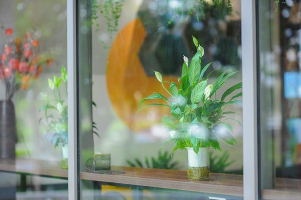 Panneau solaire photovoltaïque : comprendre, choisir et installer pour maximiser l'économie d'énergie